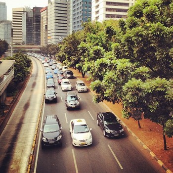 palmer2.jpg palmer2.jpg